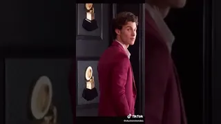 Shawn Mendes 2020 Grammy's look!!!😍
