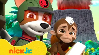 Pups Rescue Jungle Animals From a Volcano! | PAW Patrol | Nick Jr. UK