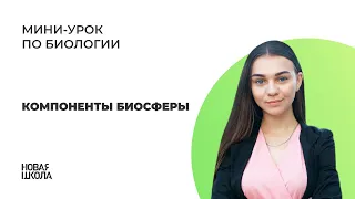 НШ | Биология. Компоненты биосферы