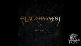 Black Harvest - Ingrate [2010] Full Album