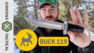 It's Worth A Revisit! Buck 119 Special