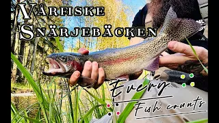 En kväll vid bäcken / An evening at the creek - Flyfishing