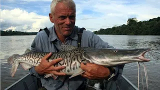 pesca de un surubí desde un remolcador río paraguay (monstruo de río )