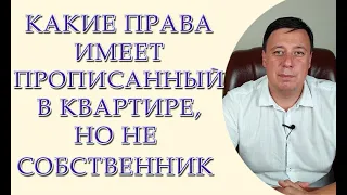 Какие права имеет прописанный в квартире, но не собственник