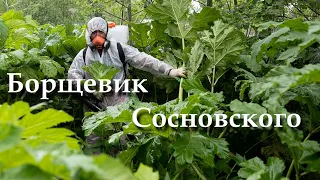 Бесхозяйственность 90-х, помноженная на безразличие (?) 2000-х, приведут к катастрофе.