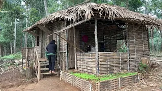 The daily life of a 17-year-old young couple - Go to the forest to harvest food goes to market sell