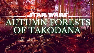 Star Wars 4K Music & Ambience | Autumn on Takodana | Study, Relax | Ambient Music [3 Hrs.]