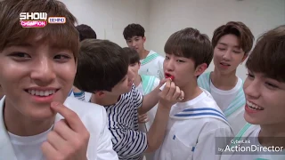 Seventeen Moments : Hoshi Cuteness Overload