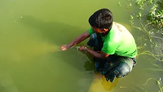 Unbelievable Cast Net Fishing Videos।Catching Lot of fish by cast net। Net fishing video