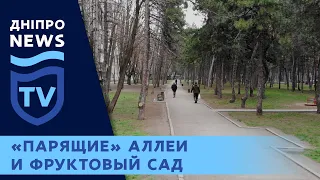 В Днепре озвучили планы на парки