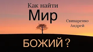 "Мир  Божий" | Свинаренко Андрей