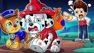 Paw Patrol The Mighty Movie | Chase & Marshall Leave Home!!! Very Sad Story | Rainbow Friends 3