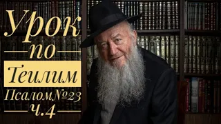 Урок по Теилим [Псалом№23 ч.4] | Царь Давид | раввин Элиягу Эссас