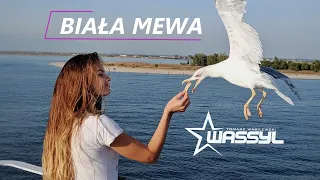 WASSYL - BIAŁA MEWA