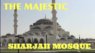 SHARJAH MOSQUE: the inside look #sharjahmosque #mosque #uae #sharjah #islam