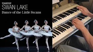 Dance of the Little Swans - Swan Lake, Tchaikovsky, Yamaha electone D-Deck - Dimitris Leontaris