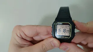 CASIO W 800H