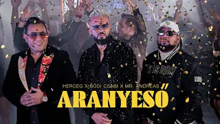 HERCEG x BÓDI CSABI ft. MR. ANDREAS - ARANYESŐ