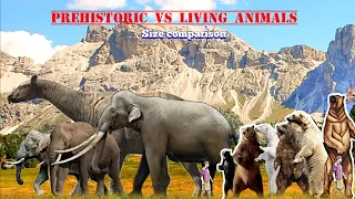 Extinct vs Extant Animals size comparison.
