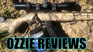 Ruger "American" Go Wild Camo 22 Magnum Rifle (accuracy testing)