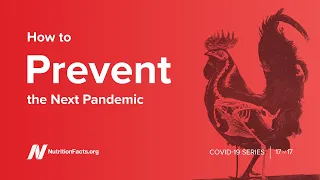 How to Prevent the Next Pandemic PLUS Dr. Greger's New Book