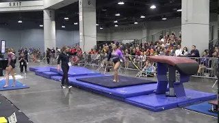 SrB Suki Pfister, Set 10 | L10 Vault 2018 JO Nationals