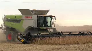 Harvest 2023 | Claas Lexion 7500 Combine Harvesting Soybeans | Ontario, Canada