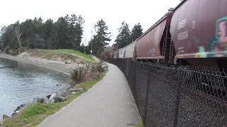 The bird, the train and the swimmer.