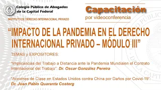 Videoconferencia: "Impacto de la pandemia en el Derecho Internacional Privado - Módulo III"