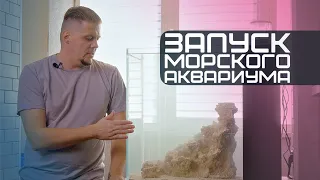 Запуск морского аквариума