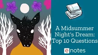 A Midsummer Night's Dream - Top 10 Questions