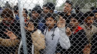Страны ЕС готовы ещё принять сирийских беженцев (новости)