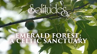 Dan Gibson’s Solitudes - Bonny Portmore | Emerald Forest: A Celtic Sanctuary