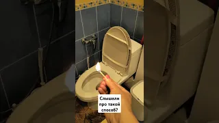 How to instantly remove the smell in the toilet