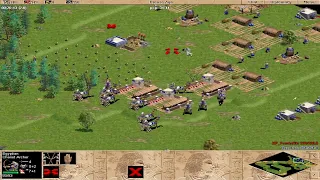 AOE2 Aggressive Strategies