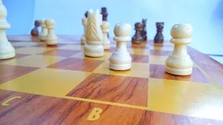 chess stop motion game