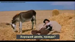 Как узнать время по яйцам осла