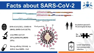 Webinar 1