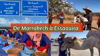 En route pour Essaouira [Vlog Part 1] Je découvre des endroits magnifiques !!!