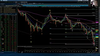 NASDAQ 100 / Elliott Wave Update 2/24/2022 by Michael Filighera