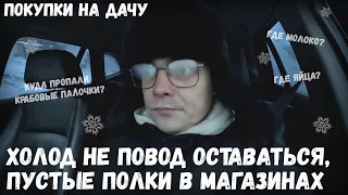 Холод не повод оставаться в Москве, закупка продуктов на дачу / Пустые полки в магазинах, в чем дело