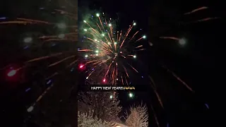 💞🫶🍞 #newyear #2024 #fireworks