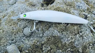 LURE FISHING FOR BASS IN EASTBOURNE EAST SUSSEX | EARLY SEASON SCOUT AND A NICE FIND ON THE ROCKS 🤩