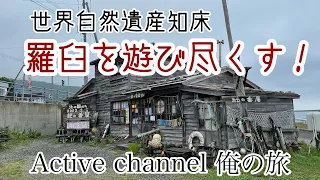 世界自然遺産知床 羅臼を遊び尽くす