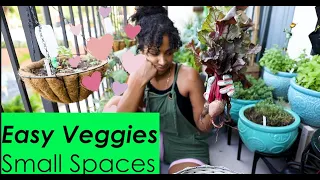 Grow your own Food | Easy Fast Growing Veggies | Small Space urban Garden - Daily Harvest & Pruning