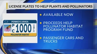 New Pennsylvania license plates to help bees, butterfly habitats