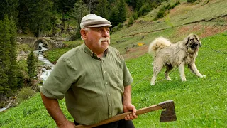 Küçük Ağa'nın Yayla Göçü | Belgesel Film