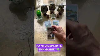 НА ЧТО ОБРАТИТЬ ВНИМАНИЕ?🍀🍀🍀