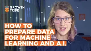 How to Prepare Data for Machine Learning and A.I.