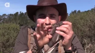 All of Coyote Peterson's Bites and Stings